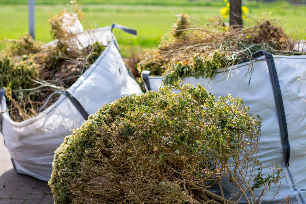 Best Hoarding Cleanup  in Willimantic, CT